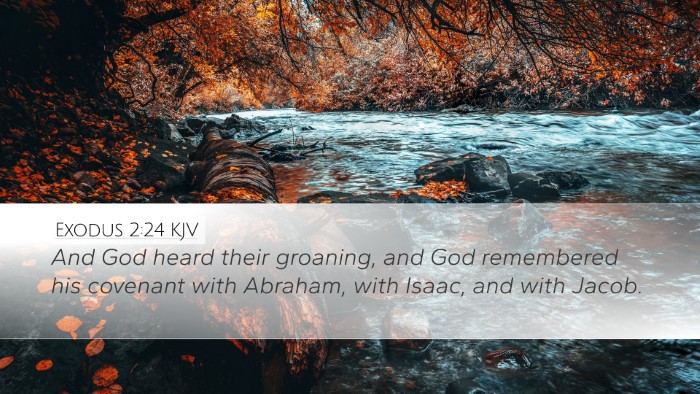 Exodus 2:24 KJV Bible Verse Image