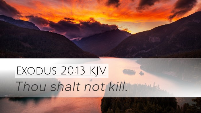 Exodus 20:13 KJV Bible Verse Image