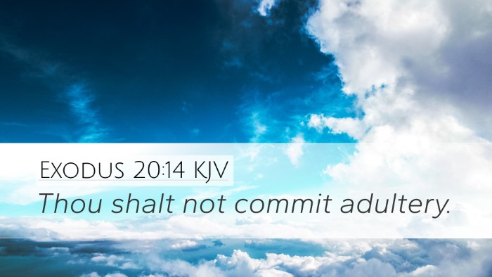 Exodus 20:14 KJV Bible Verse Image
