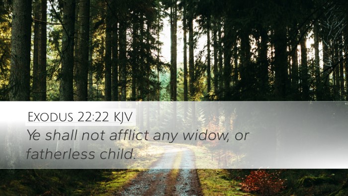 Exodus 22:22 KJV Bible Verse Image
