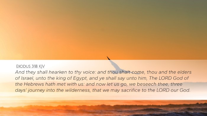 Exodus 3:18 KJV Bible Verse Image