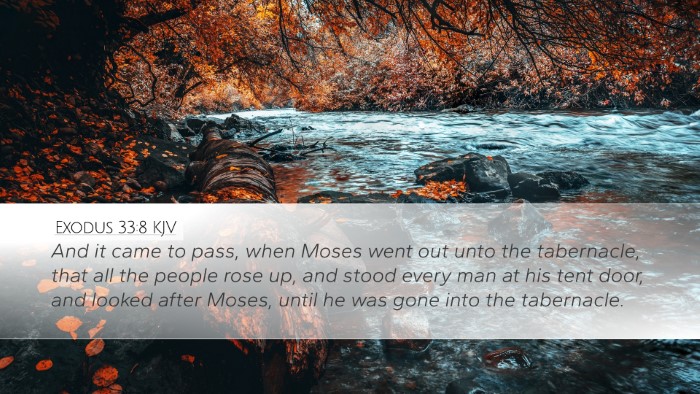 Exodus 33:8 KJV Desktop Wallpaper - And it came to pass, when Moses went out unto the - Desktop Bible Verse Wallpaper
