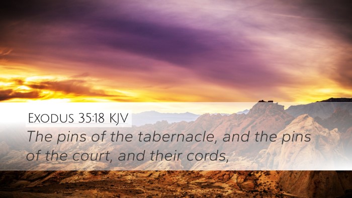 Exodus 35:18 KJV Bible Verse Image