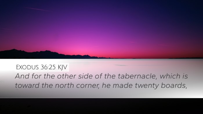 Exodus 36:25 KJV Desktop Wallpaper - And for the other side of the tabernacle, which - Desktop Bible Verse Wallpaper