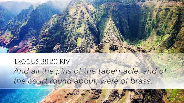 Exodus 38:20 KJV Desktop Wallpaper - And all the pins of the tabernacle, and of the - Desktop Bible Verse Wallpaper