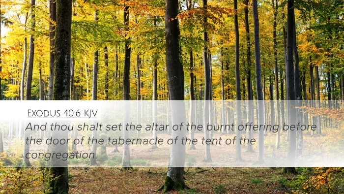 Exodus 40:6 KJV Bible Verse Image