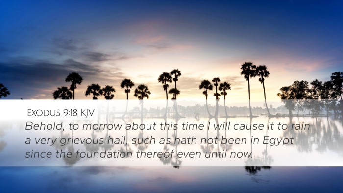 Exodus 9:18 KJV Bible Verse Image