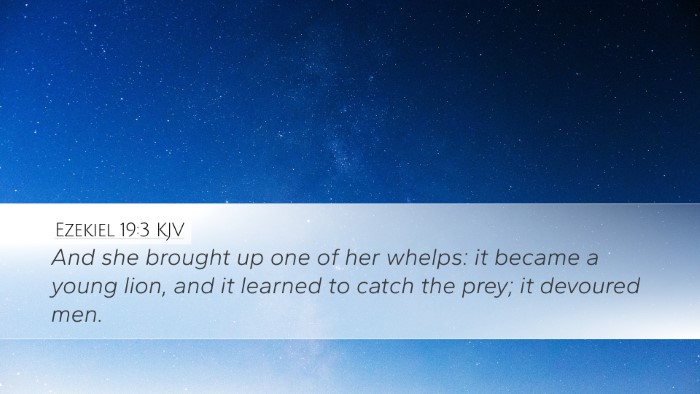 Ezekiel 19:3 KJV Bible Verse Image