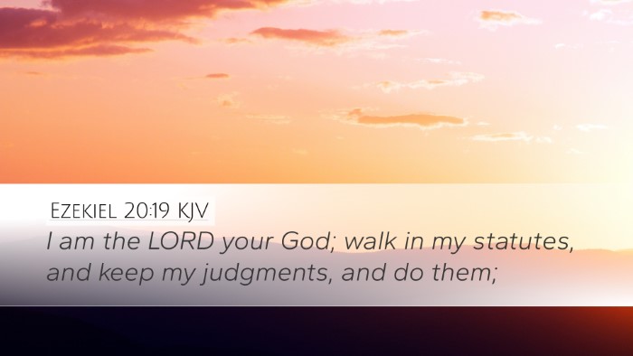 Ezekiel 20:19 KJV Bible Verse Image