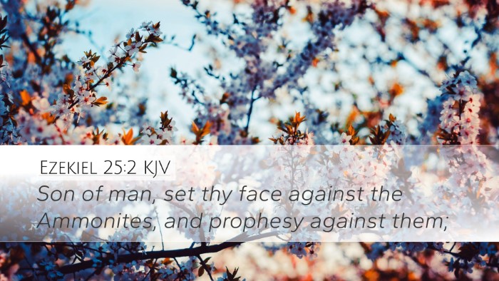 Ezekiel 25:2 KJV Bible Verse Image
