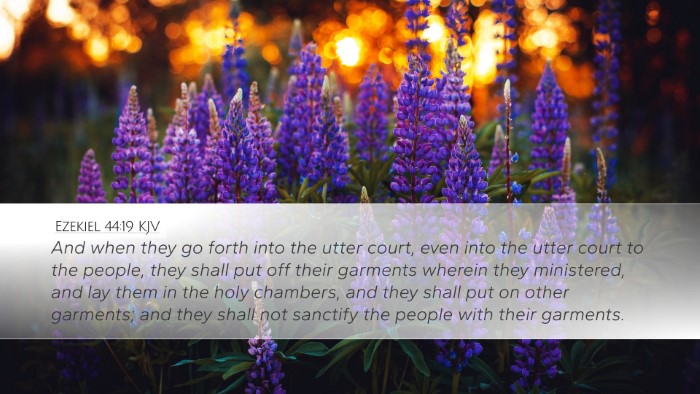 Ezekiel 44:19 KJV Bible Verse Image