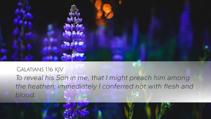 Galatians 1:16 KJV Bible Verse Image