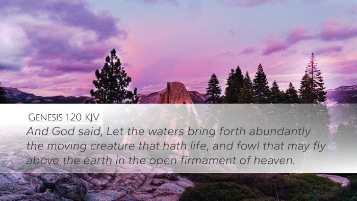 Genesis 1:20 KJV Bible Verse Image