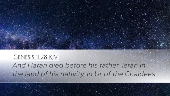 Genesis 11:28 KJV Bible Verse Image