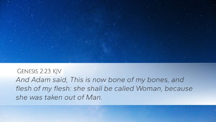 Genesis 2:23 KJV Bible Verse Image