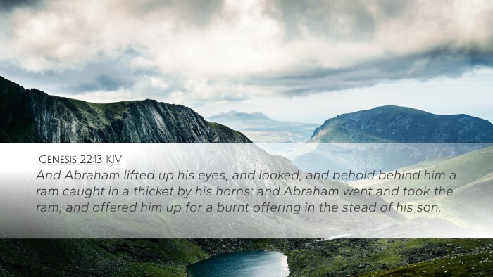 Genesis 22:13 KJV Bible Verse Image