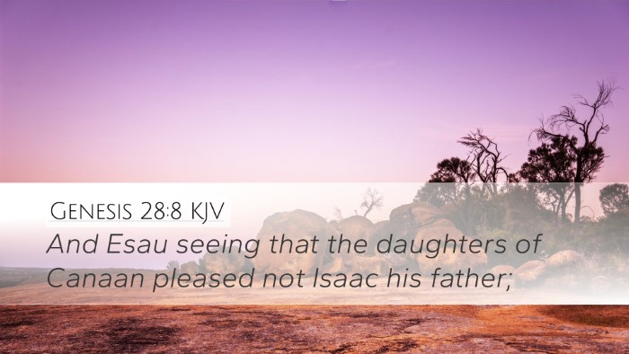 Genesis 28:8 KJV Bible Verse Image