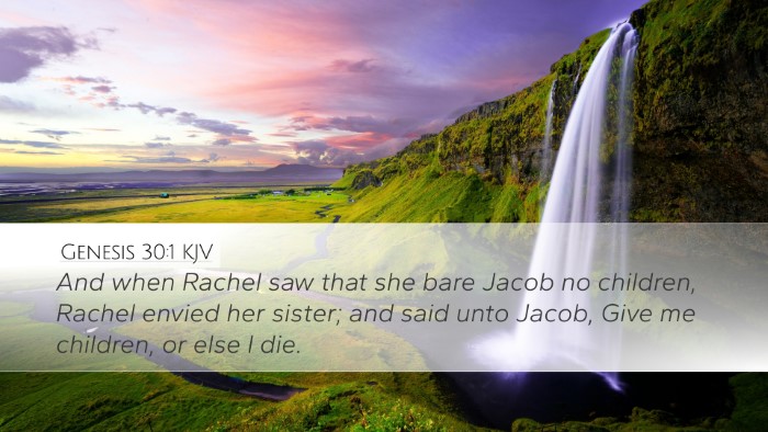 Genesis 30:1 KJV Desktop Wallpaper - And when Rachel saw that she bare Jacob no - Desktop Bible Verse Wallpaper