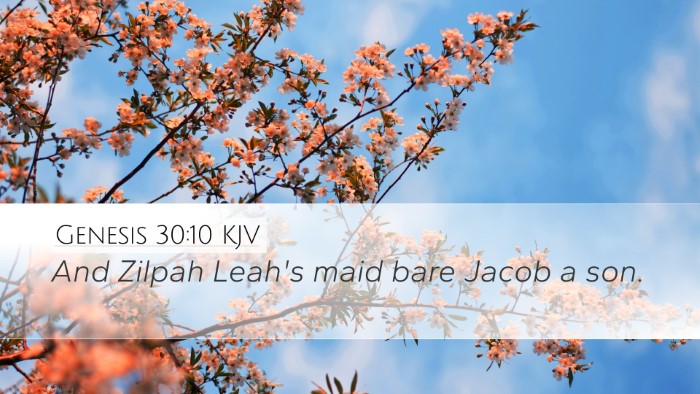 Genesis 30:10 KJV Bible Verse Image