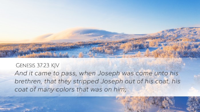 Genesis 37:23 KJV Bible Verse Image