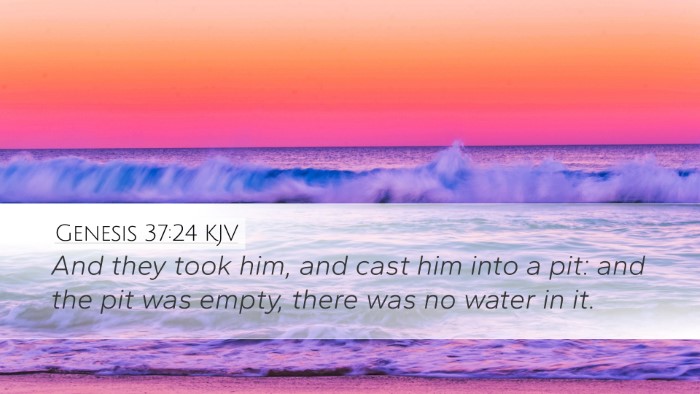 Genesis 37:24 KJV Bible Verse Image