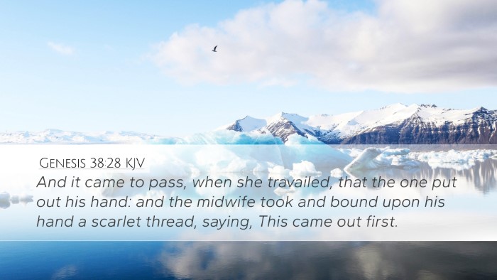 Genesis 38:28 KJV Bible Verse Image