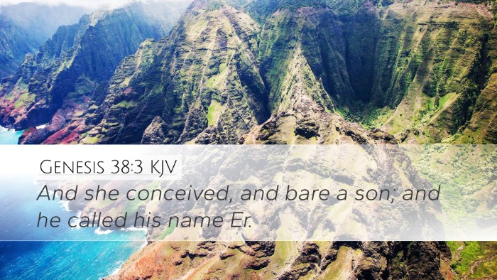 Genesis 38:3 KJV Desktop Wallpaper - And she conceived, and bare a son; and he called - Desktop Bible Verse Wallpaper