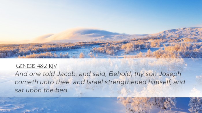 Genesis 48:2 KJV Bible Verse Image