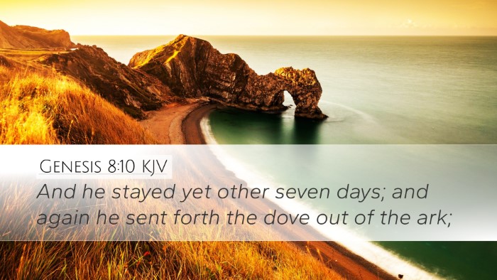 Genesis 8:10 KJV Desktop Wallpaper - And he stayed yet other seven days; and again he - Desktop Bible Verse Wallpaper