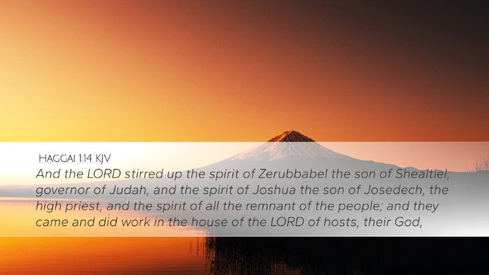 Haggai 1:14 KJV Bible Verse Image