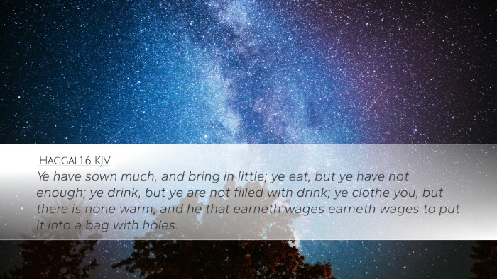 Haggai 1:6 KJV Bible Verse Image