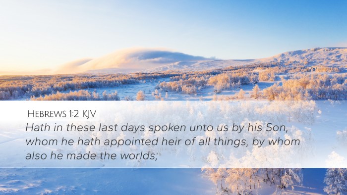 Hebrews 1:2 KJV Bible Verse Image