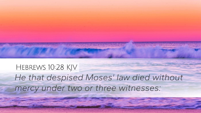 Hebrews 10:28 KJV Bible Verse Image