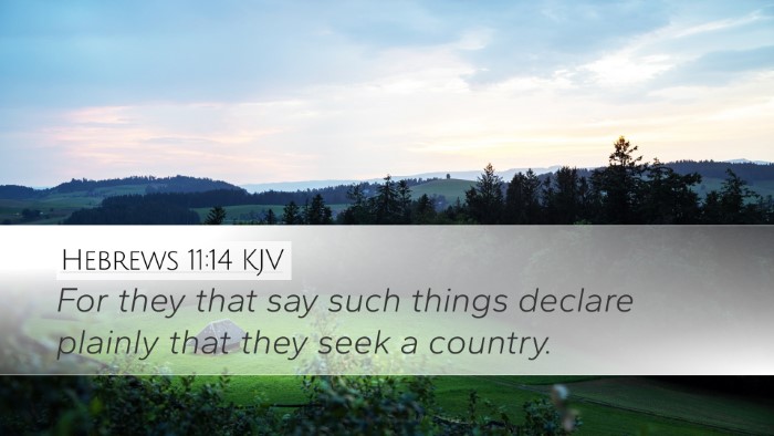 Hebrews 11:14 KJV Bible Verse Image