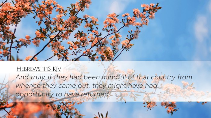 Hebrews 11:15 KJV Bible Verse Image