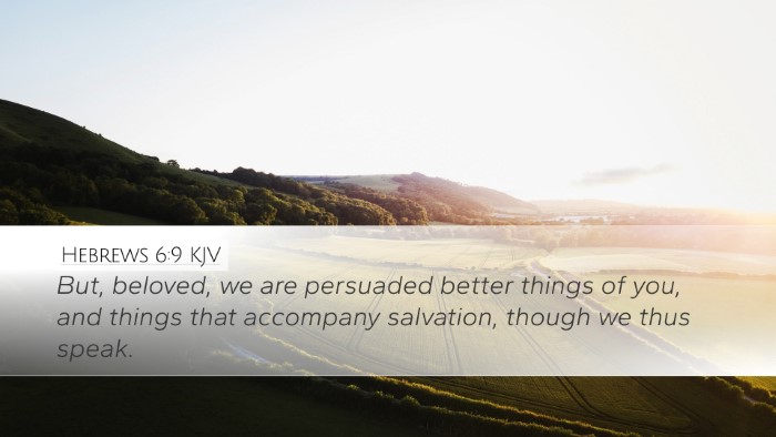 Hebrews 6:9 KJV Bible Verse Image