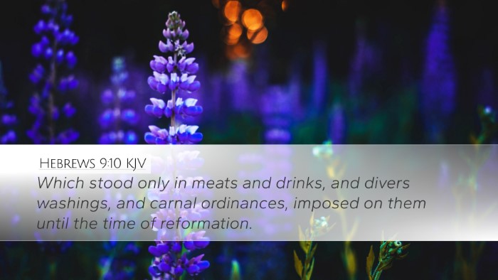 Hebrews 9:10 KJV Bible Verse Image
