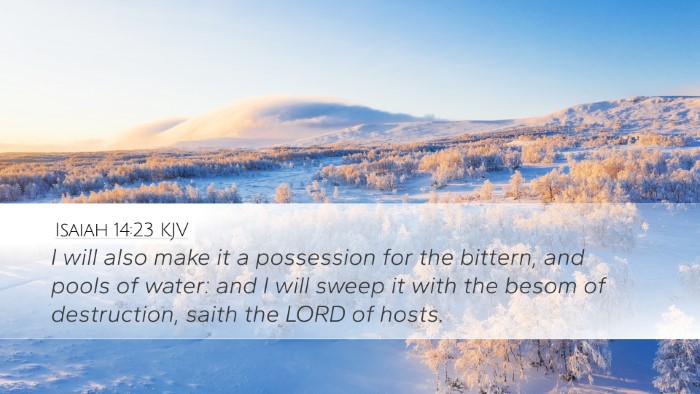 Isaiah 14:23 KJV Bible Verse Image