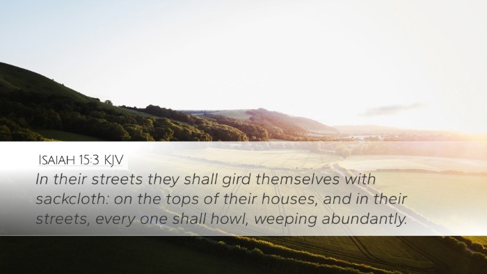 Isaiah 15:3 KJV Bible Verse Image