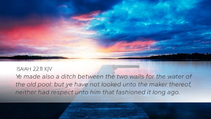 Isaiah 22:11 KJV Bible Verse Image