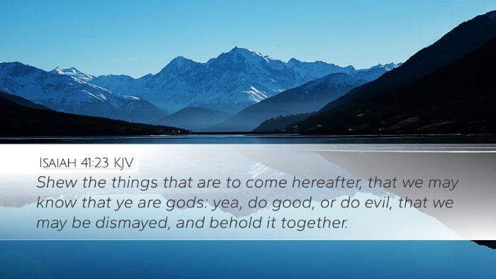 Isaiah 41:23 KJV Bible Verse Image