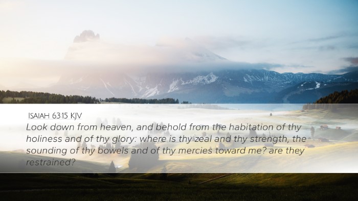 Isaiah 63:15 KJV Bible Verse Image