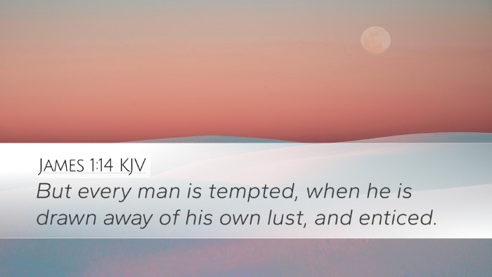 James 1:14 KJV Desktop Wallpaper - But every man is tempted, when he is drawn away - Desktop Bible Verse Wallpaper