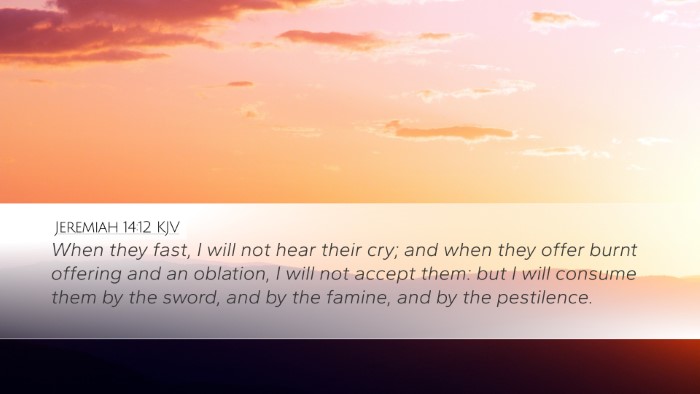 Jeremiah 14:12 KJV Bible Verse Image