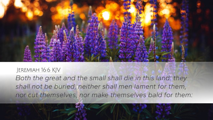 Jeremiah 16:6 KJV Bible Verse Image