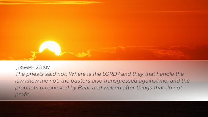 Jeremiah 2:8 KJV Bible Verse Image