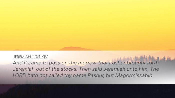Jeremiah 20:3 KJV Bible Verse Image