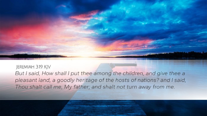 Jeremiah 3:19 KJV Bible Verse Image