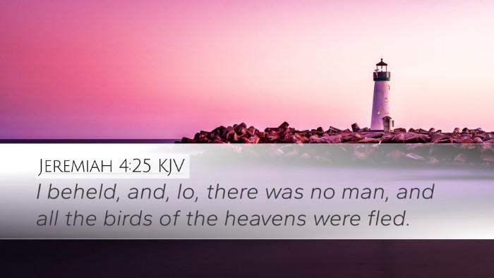 Jeremiah 4:25 KJV Bible Verse Image