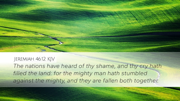 Jeremiah 46:12 KJV Bible Verse Image